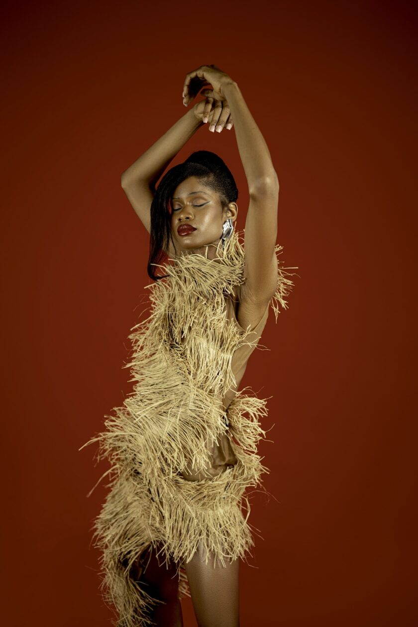 FRUCHÈ Ahihia Dress - Image 3