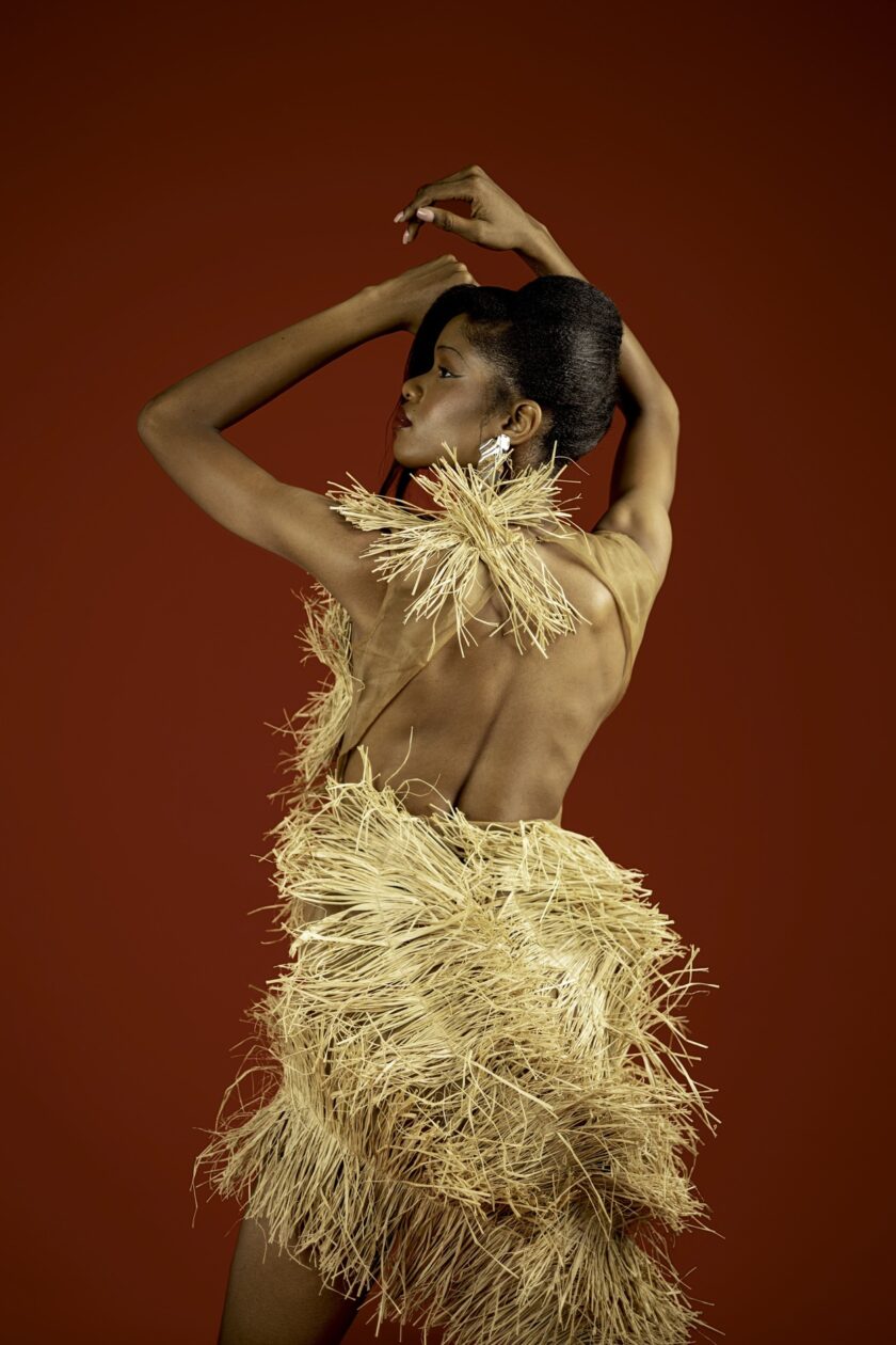FRUCHÈ Ahihia Dress - Image 4