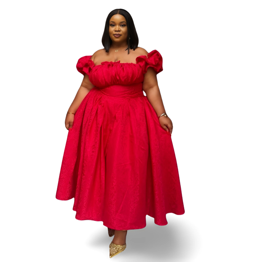 Ani Clare CLARE DRESS - Image 3