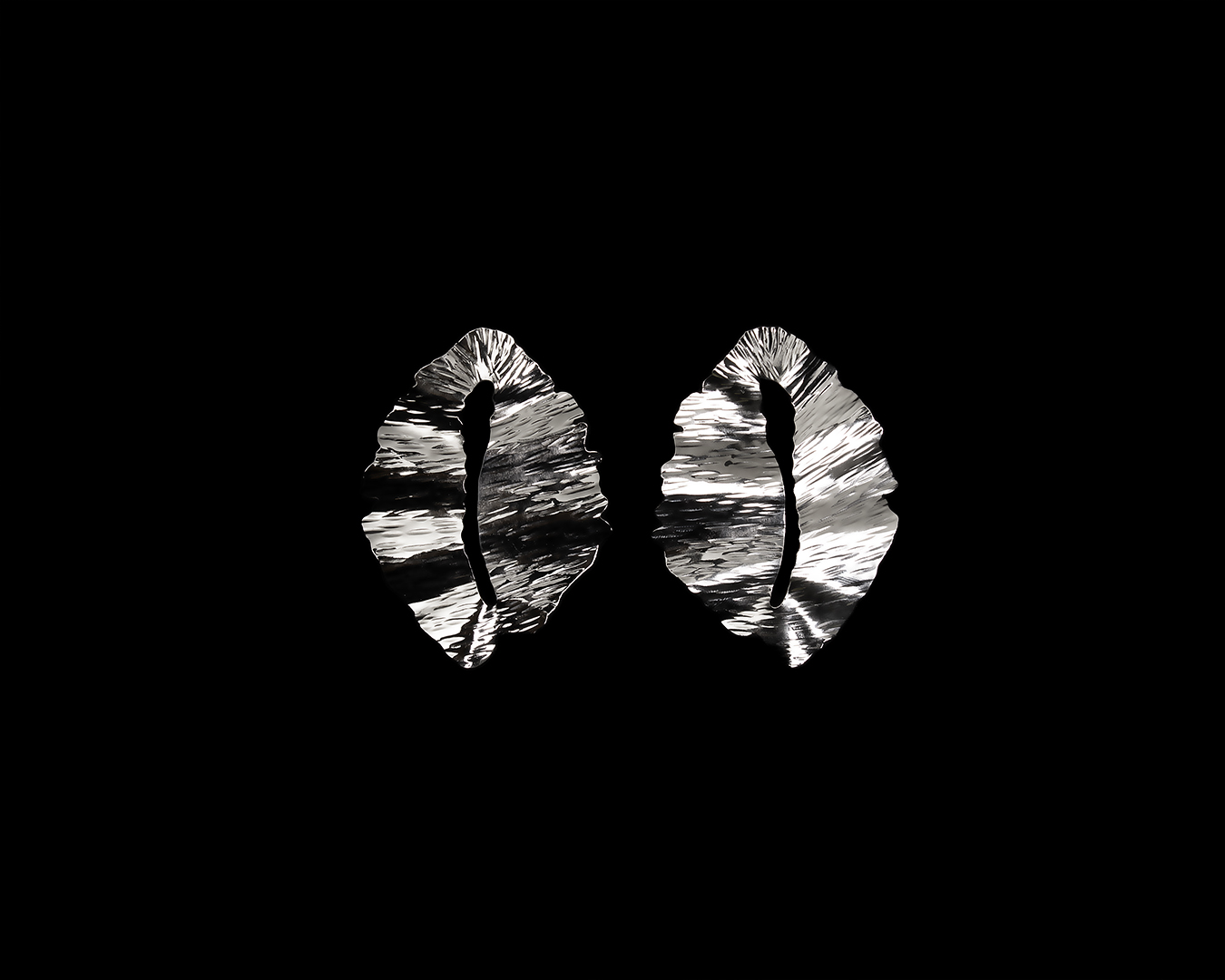 silver statement earrings